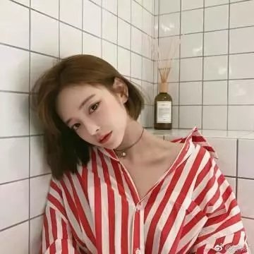 尘埃2018